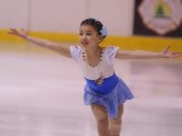 Regional Figure Skating Competition 2014