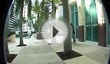 Miami Skating (ft. Ricky, Keenan, C-los, Jap, Pouya, & Phil)